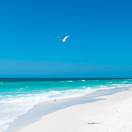 Top Destinations - Panama City Beach